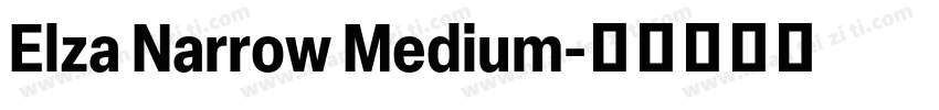 Elza Narrow Medium字体转换
